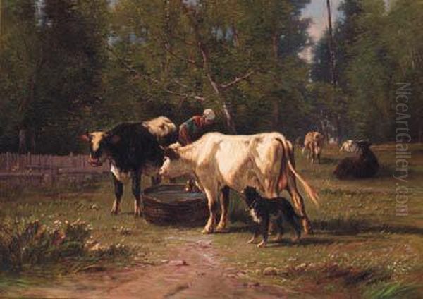 Cattle Watering In A Meadow by C. Harpsau