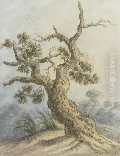 A Tree by Jean-Pierr Houel