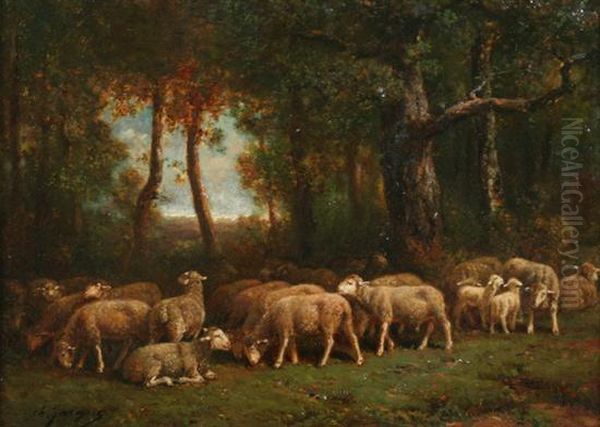 Sheep Grazing In A Clearing by Charles Jacques