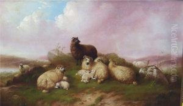 Moorland Landscape With Sheep And Lambs On A Rocky Outcrop by M. Jonner