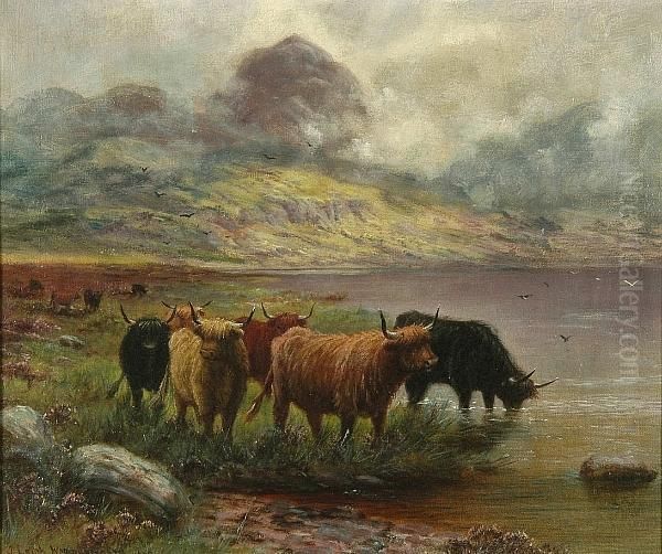 Highland Cattle by Rose J. Leigh