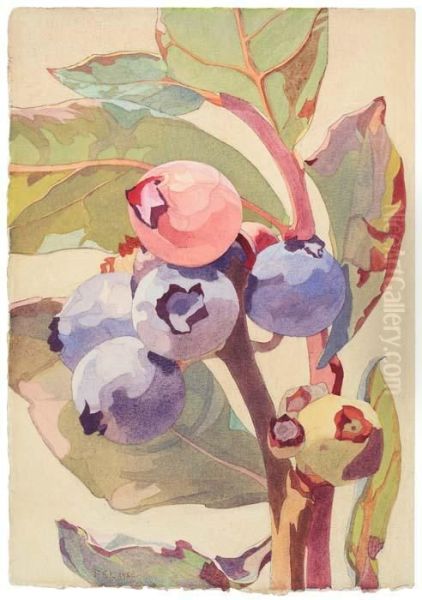 Blueberries by Frank Edward Lloyd