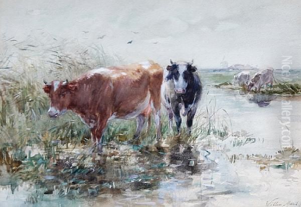 Cows Watering In A Polder Landscape by Willem Maris