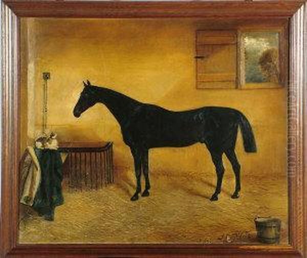 A Portrait Of A Black Horse In A Stable With A Cat Nearby by John Mcleod