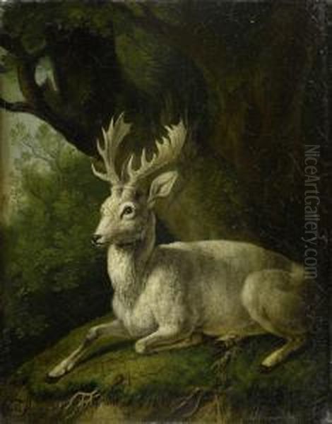 A White Deer. by Schnitzler Michael