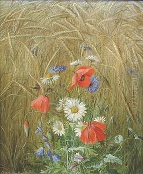 Poppies, Bluebells And Convolvulus In A Cornfield by Emma Mulvad