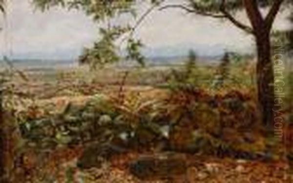 The Edge Of A Woodland Path,an Extensive Landscape Beyond - Signed With Initials Cn Bottomright by Frederick Clive Newcombe