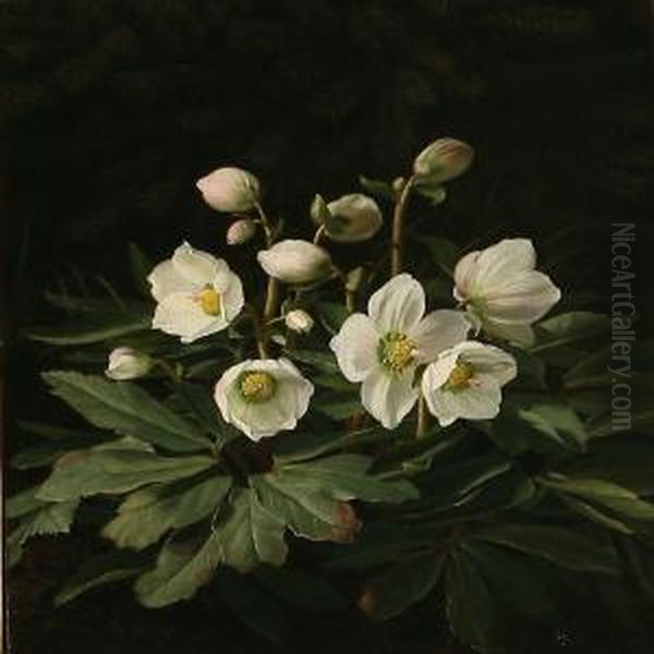 Christmas Roses by Otto Didrik Ottesen