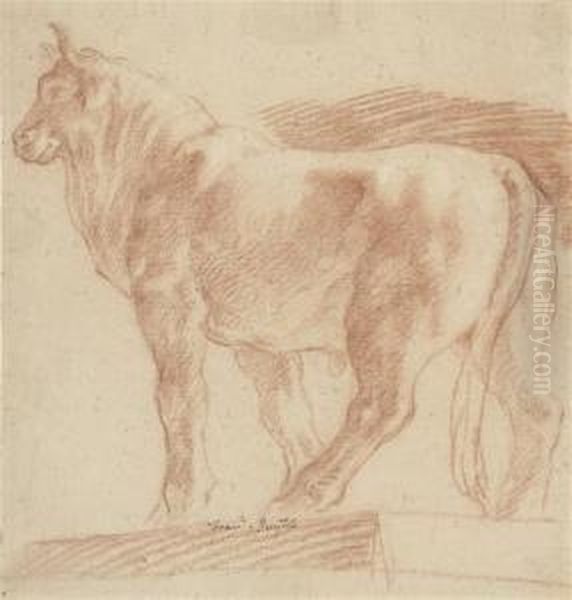 Study Of A Statue Of A Bull Oil Painting by Francis, Francesco Smith