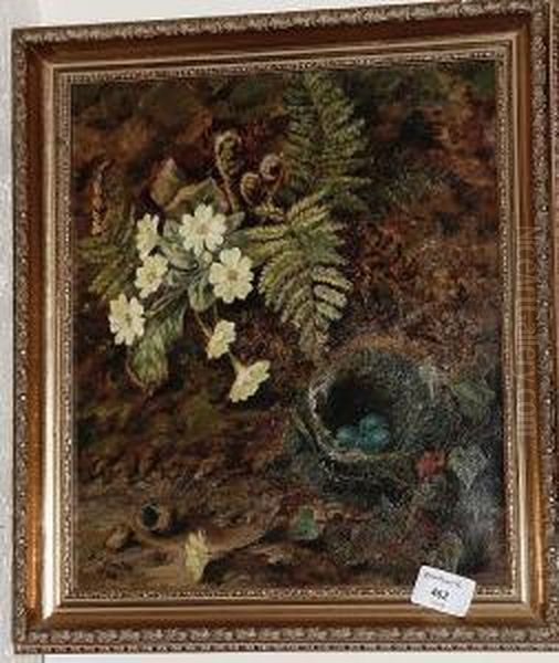 Primroses, Ferns And A Birds Nest On A Mossybank Oil Painting by Francis, Francesco Smith