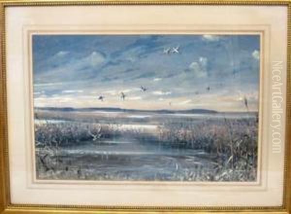 Marsh Scene With Ducks Oil Painting by Graham Smith