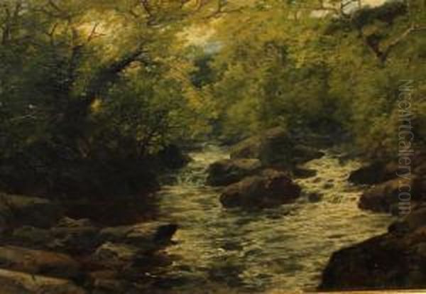 Woodland Falls Oil Painting by John Brandon Smith