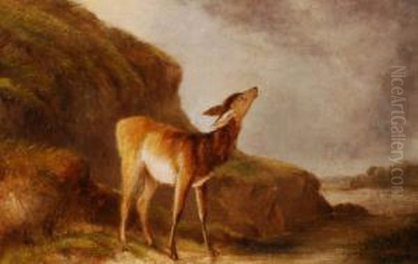 A Young Fawn Oil Painting by John Henry Smith