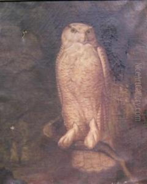 Owl Oil Painting by John Henry Smith