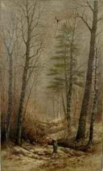 The Woodland Glade Oil Painting by Thomas Lochlan Smith