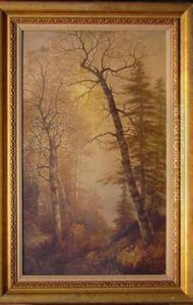 Birches In A Glen Oil Painting by Thomas Lochlan Smith