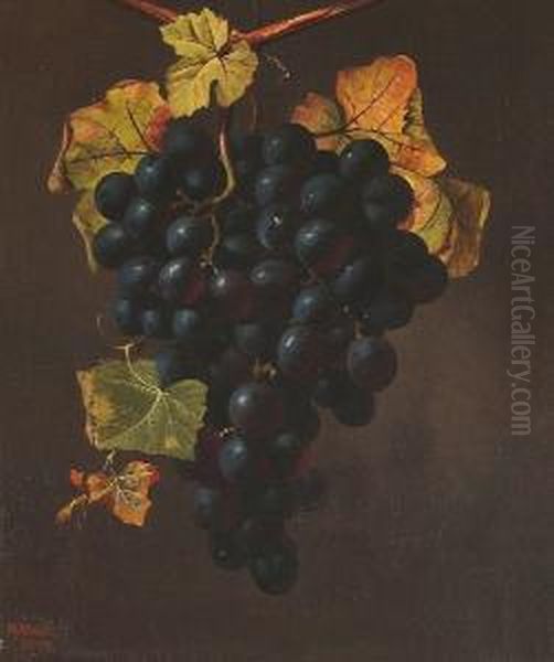 Still Life Of Grapes Oil Painting by W.H. Smith