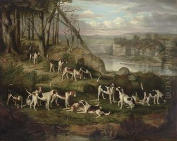 A Pack Of Foxhounds On A Bank Above A Rocky Gorge Oil Painting by William Smith