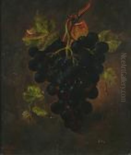 Still Life Of Grapes Oil Painting by William Harding Smith