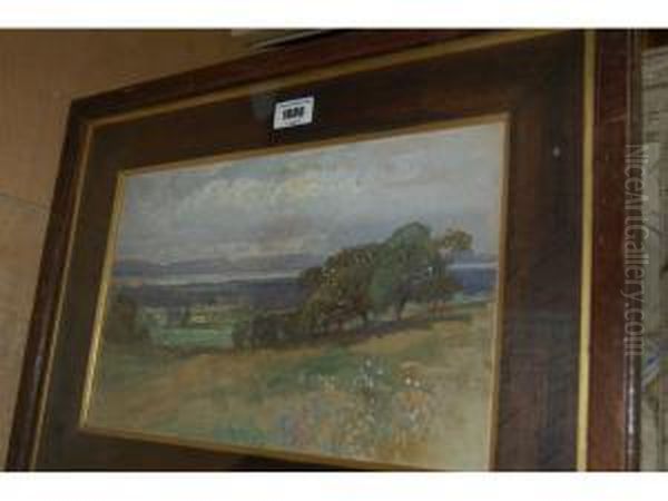 View Accross A Landscape With Distant
Estuary Oil Painting by Martin Snape