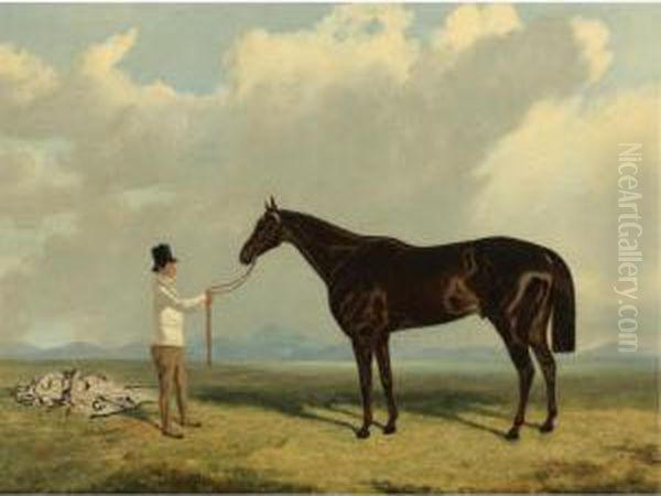 Retriever, A Liver Chestnut Being Held By A Groom Oil Painting by John Wray Snow