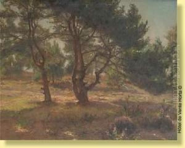 Rayons De Soleil Dans Les Arbres Oil Painting by Albert Sohie