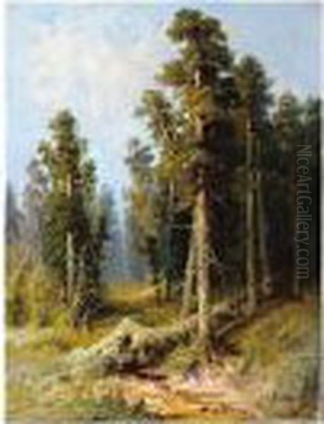 Apsit , Light In The Woods, Signed And Dated On The Reverse 1899, Oil On Canvas, 58.5 X 45 Cm.; 23 X 17 3/4 In by Alexander Petrovich Sokolov