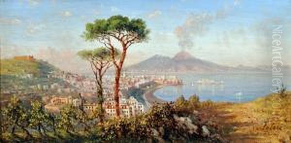 Napoli Dall'alto Oil Painting by Achille Solari