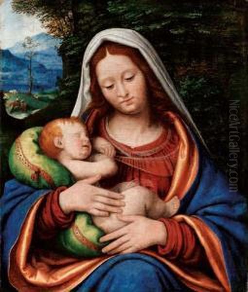 Madonna Col Bambino Oil Painting by Andrea Solario