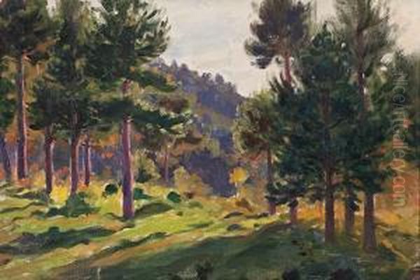 Bosque Oil Painting by Domingo I Solergili