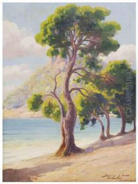 Mallorca Oil Painting by Domingo I Solergili