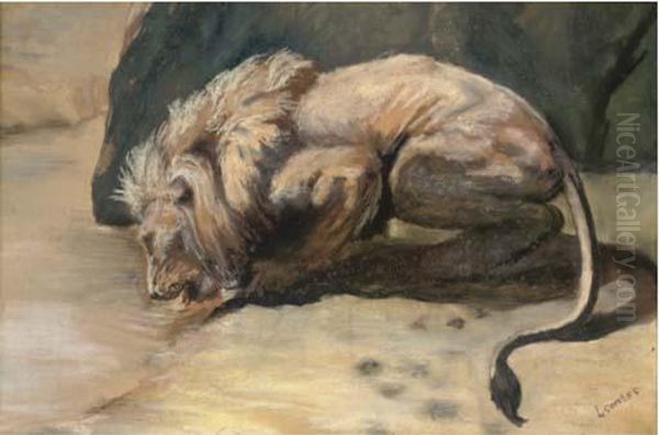 A Lion Drinking Oil Painting by Louis Somers