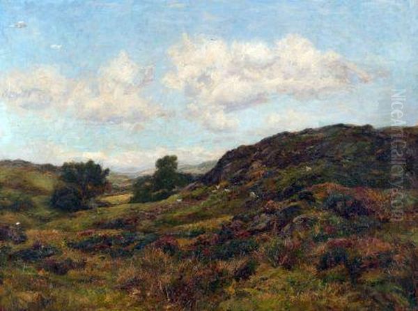 Sheep In Moorland Landscape Oil Painting by Richard Gay Somerset