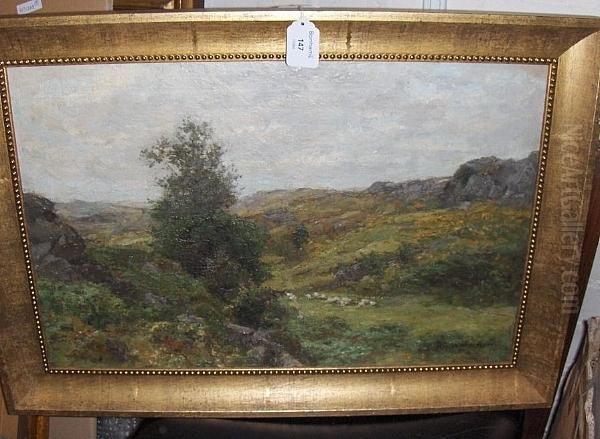 Sheep On Dartmoor Oil Painting by Richard Gay Somerset