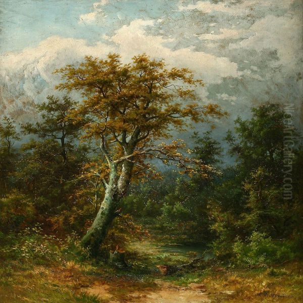 Forest Scene With A Lake Oil Painting by Carl August Sommer