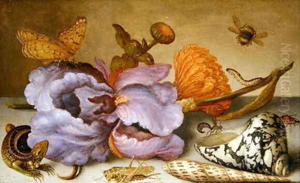 Still life depicting flowers, shells and insects Oil Painting by Balthasar Van Der Ast