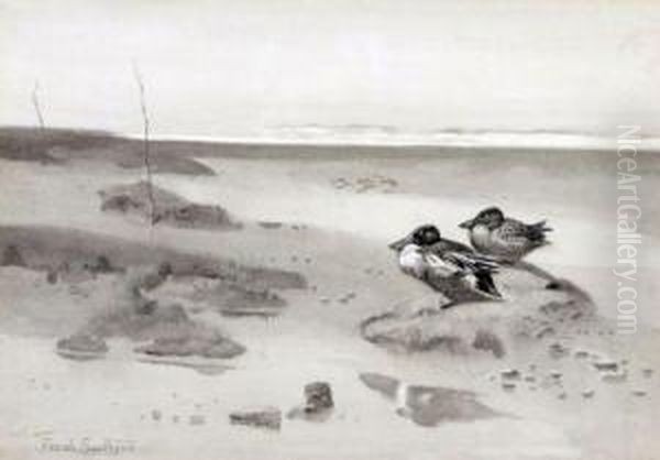 Shoveller Duck On The Saltings Oil Painting by Frank Southgate