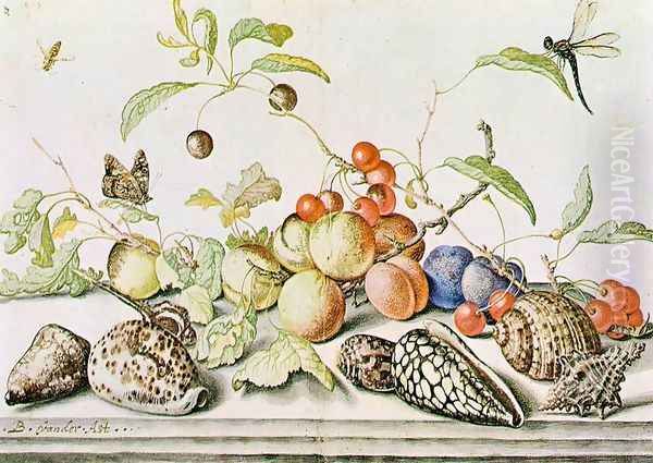 Still-life c. 1628 Oil Painting by Balthasar Van Der Ast