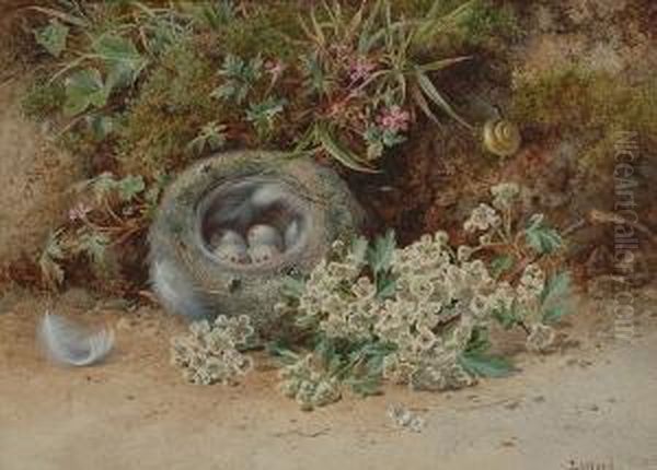 A Bird's Nest With Blossom And A Snail By A Mossy Bank Oil Painting by John Sowden