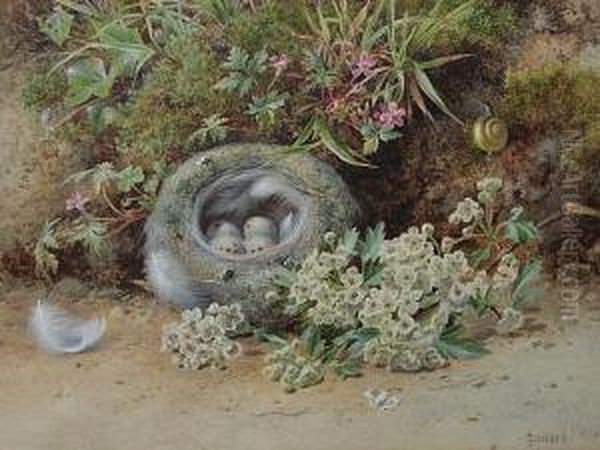 A Still Life Of A Bird's Nest With A Bough Of Hawthorn Beside A Mossy Bank Oil Painting by John Sowden