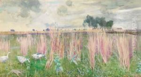 Geese Amongst The Reeds Oil Painting by John G. Sowerby