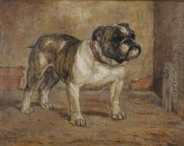 Portrait Of A Bulldog Oil Painting by Kate Sowerby