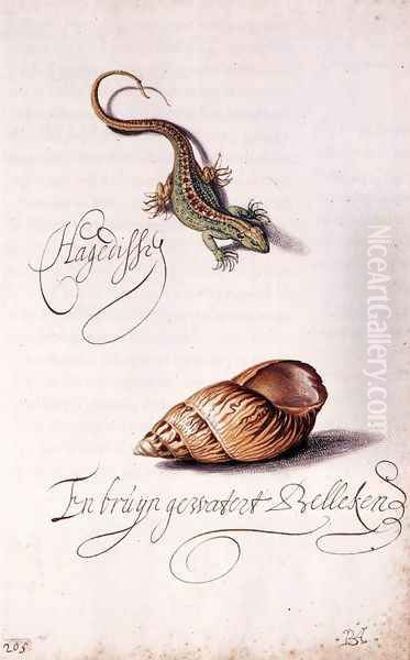 Lizard and Shell Oil Painting by Balthasar Van Der Ast