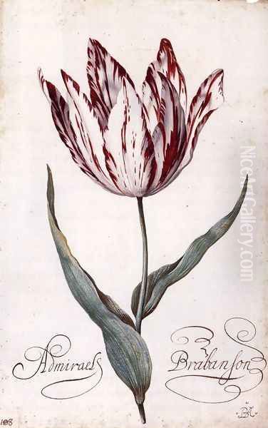 Tulip Oil Painting by Balthasar Van Der Ast