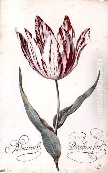 Tulip 2 Oil Painting by Balthasar Van Der Ast