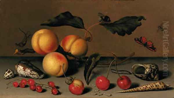 Apricots on a stalk, cherries, a wild strawberry, redcurrants, shells, a butterfly, a bee, a spider, a fly, a caterpillar and a dragonfly on a ledge Oil Painting by Balthasar Van Der Ast