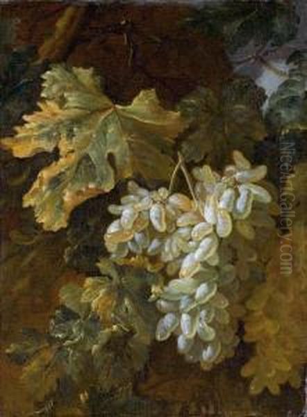 Uva Oil Painting by Bartolomeo Castelli Spadino