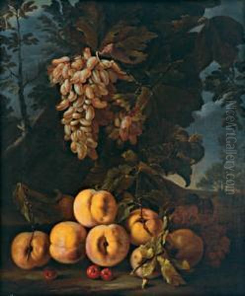 Natura Morta Con Uva E Pesche Oil Painting by Bartolomeo Castelli Spadino