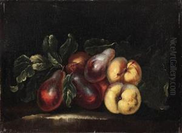 Still Lifes Of Fruit Oil Painting by Giovanni Paolo Castelli Spadino