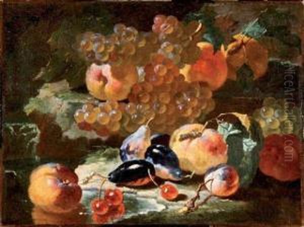 Nature Morte Aux Peches, Prunes, Questsches, Cerises Etraisins Oil Painting by Giovanni Paolo Castelli Spadino